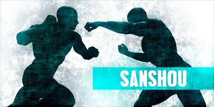 Sanshou Martial Arts Self Defence Training Concept