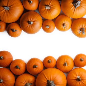 Many orange pumpkins frame isolated on white background, autumn harvest, Halloween or Thanksgiving concept