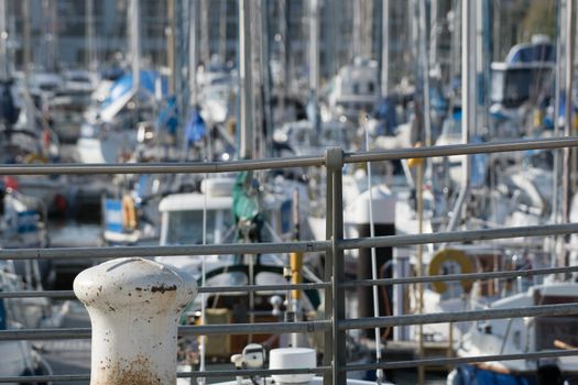 a mass of yachts crowd into a summer marina