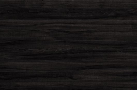 Black wood texture. background old panels. wooden texture