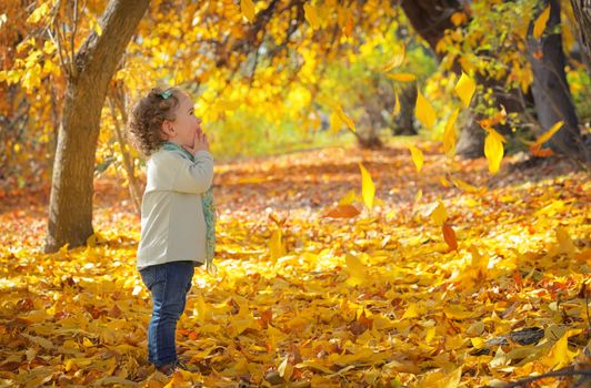 Happy little girl in autumn park