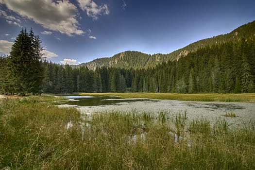  Grassy lake a part of Smolyan lakes, Bulgaria .Rhodope mountains