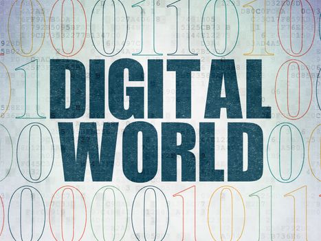 Information concept: Painted blue text Digital World on Digital Data Paper background with Binary Code