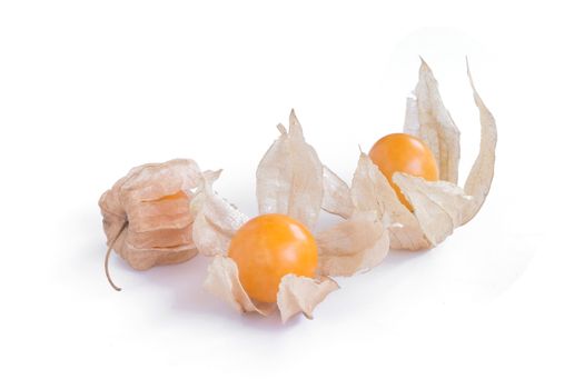 cape gooseberry (delicious physalis) fruit in close-up isolated on white background