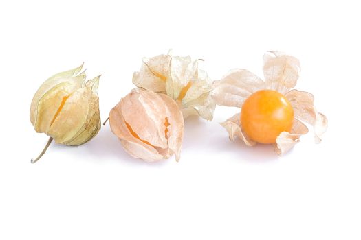 cape gooseberry (delicious physalis) fruit in close-up isolated on white background