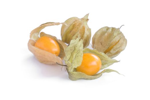 cape gooseberry (delicious physalis) fruit in close-up isolated on white background