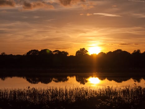 stunning bright autumn harvest sun set scene over lake water reflection reed silhouette; Essex; England; UK
