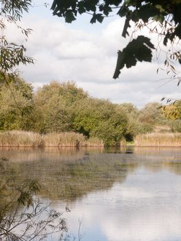 summer golden lake scene top surface outside country water; Essex; England; UK