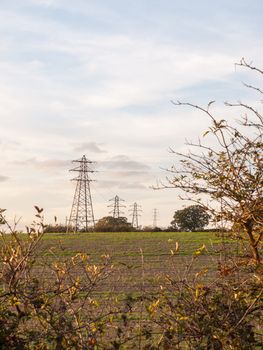 electricity pylons row of far distance field farm agriculture; Essex; England; UK