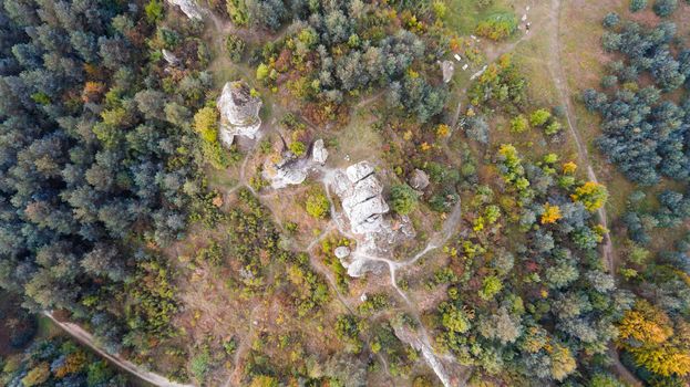 Forest and rocks in autumn aerial drone view