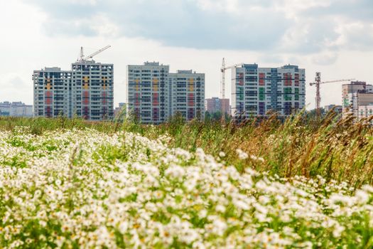 Construction of new houses near a glade in sunny day