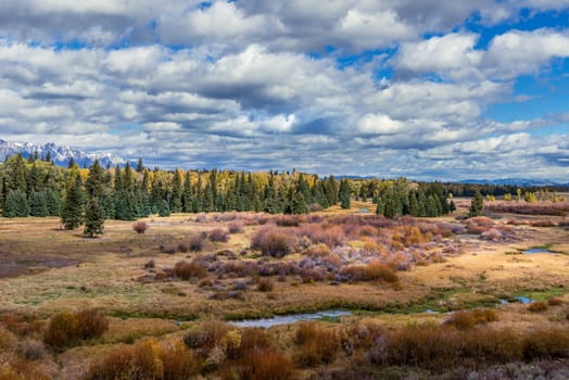 Scenic View of the Grand Teton National Park