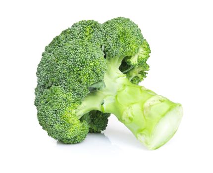Closeup fresh broccoli on white background, raw food healthy for cooking 