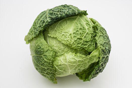 Green savoy cabbage on white background