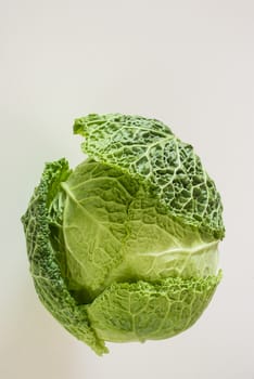 Green savoy cabbage on white background