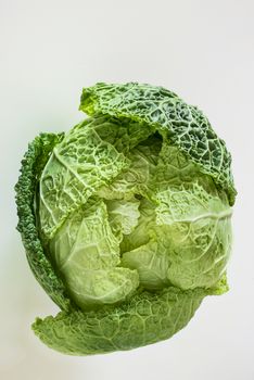 Green savoy cabbage on white background