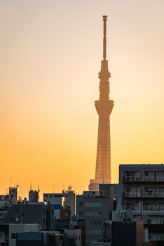 Tokyo Skytree with skyline building sunrise Ueno Japan