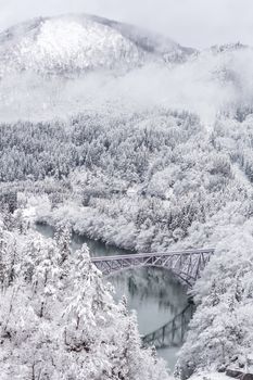 Winter landscape snow covered trees with train crossin River on Bridge