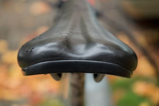 Bicycle saddle from behind with soft background