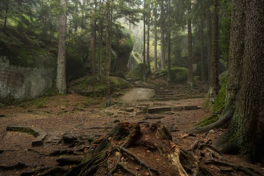 Huge rocks in the forest