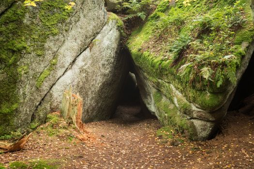 Huge rocks in the forest