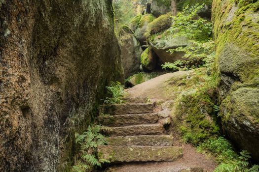 Huge rocks in the forest