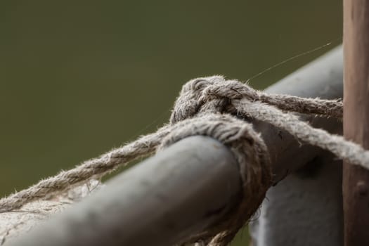 A knot from a rope