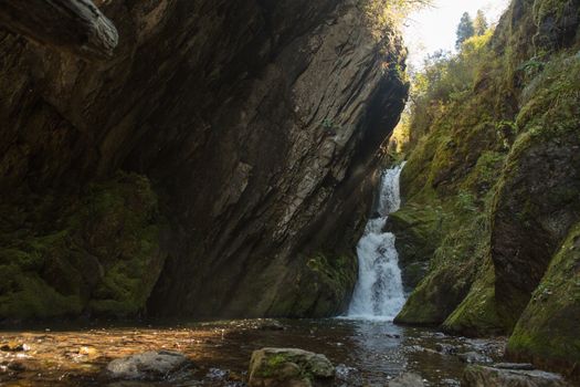 Small hidden waterfall in the forest in the crevice of a small rock