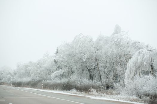 Highway in winter