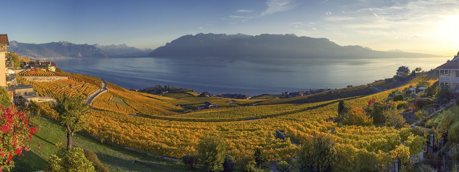 Panorama on Lavaux region by autumn day, Vaud, Switzerland
