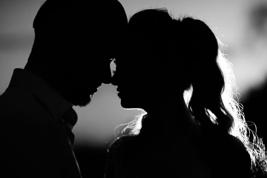 silhouettes of the young couple of the bride and groom in the backlight