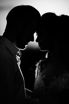 silhouettes of the young couple of the bride and groom in the backlight