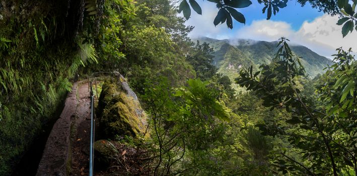 Levada of Caldeirao Verde, famous hiking trail on Madeira island, Portugal.