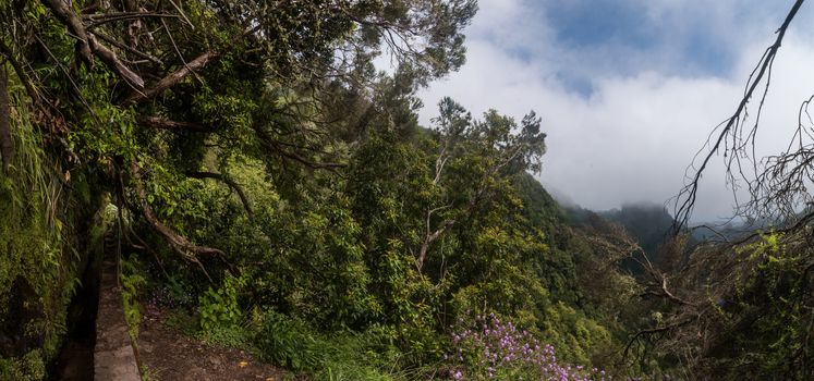 Levada of Caldeirao Verde, famous hiking trail on Madeira island, Portugal.