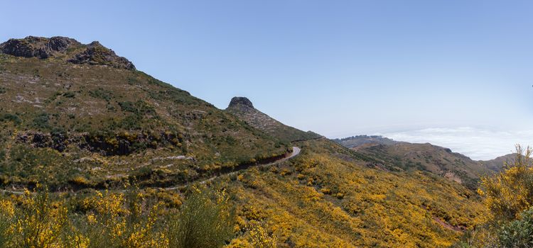 Paul da Serra plateau landscape, located in Madeira island, Portugal.