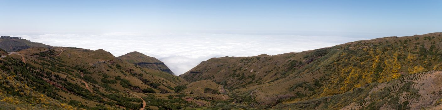 Paul da Serra plateau landscape, located in Madeira island, Portugal.