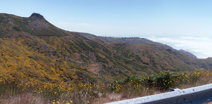 Paul da Serra plateau landscape, located in Madeira island, Portugal.