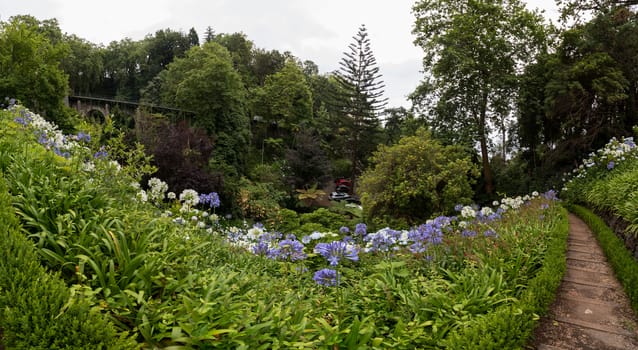 Tropical garden Monte Palace, located in Funchal city, Madeira island, Portugal.
