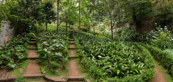 Tropical garden Monte Palace, located in Funchal city, Madeira island, Portugal.