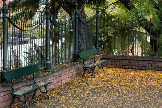 Urban park Santa Catarina, located in Funchal city, Madeira island, Portugal.