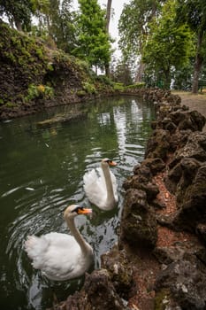Tropical garden Monte Palace, located in Funchal city, Madeira island, Portugal.