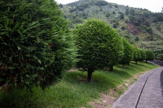 Urban park path, located in Sao Vicente village, Madeira island, Portugal.