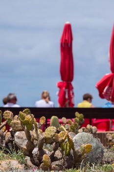 View of a Coastal Bar in Porto Moniz where tourists relax.