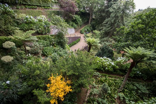 Tropical garden Monte Palace, located in Funchal city, Madeira island, Portugal.