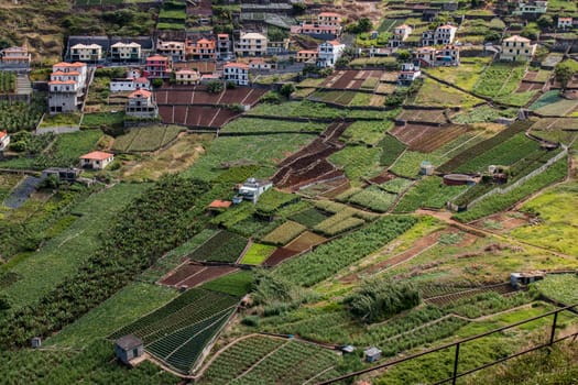 View of small farmland lots viewed from above.