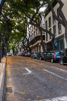 View of the Typical street of Funchal city, Madeira island.