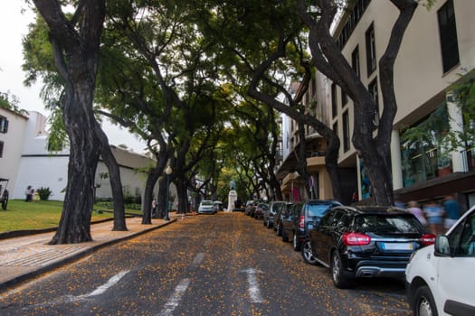 View of the Typical street of Funchal city, Madeira island.