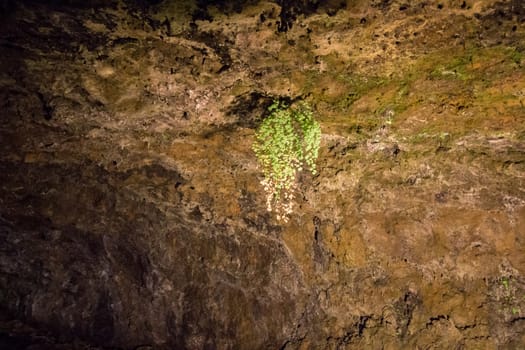 Volcanic Caves of Sao Vicente, located in Madeira island, Portugal.