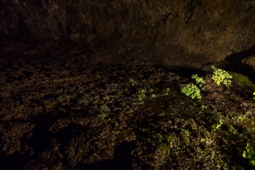 Volcanic Caves of Sao Vicente, located in Madeira island, Portugal.
