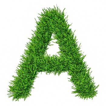 Letter of grass alphabet. Grass letter A isolated on white background. 3d illustration
